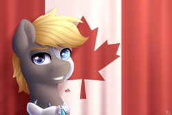 Size: 2800x1884 | Tagged: safe, artist:spirit-dude, oc, oc only, pony, robot, robot pony, canada, canadian flag, eh, flag, looking at you, male, smiling, solo, stallion