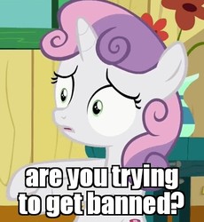 Size: 437x475 | Tagged: safe, edit, edited screencap, screencap, sweetie belle, pony, g4, the fault in our cutie marks, confused, female, image macro, meme, reaction image, solo