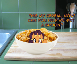 Size: 866x725 | Tagged: safe, edit, saffron masala, pony, g4, bowl, breakfast, cereal, cute, dialogue, food, irl, kitchen, looking at you, photo, ponies in real life, saffronbetes, tiny ponies