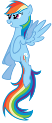 Size: 4500x10688 | Tagged: safe, artist:are-you-jealous, rainbow dash, pegasus, pony, g4, absurd resolution, female, mare, simple background, solo, transparent background, vector
