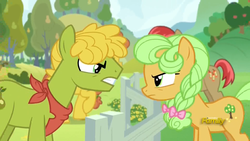 Size: 1920x1080 | Tagged: safe, screencap, apples snack, cinnamon pear, cornice pear, goldie delicious, earth pony, pony, g4, the perfect pear, angry, apple family member, background pony, bandana, bow, braid, eye contact, female, feud, hair bow, looking at each other, male, mare, neckerchief, pear family, pear family member, rivalry, shiny concorde, stallion, young goldie delicious, younger