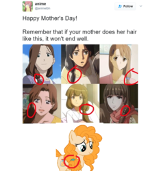 Size: 580x609 | Tagged: safe, edit, edited screencap, screencap, pear butter, earth pony, human, pony, g4, the perfect pear, anime, barely pony related, coincidence?!... probably, female, implied death, mare, meme, mother, mother's day, motherly side plait, triggered, why