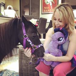 Size: 960x960 | Tagged: artist needed, safe, twilight sparkle, horse, human, g4, horse-pony interaction, irl, irl horse, irl human, miniature horse, pearl (horse), photo, plushie, real pony, tara strong, therapy horse, toy, voice actor