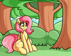 Size: 2377x1853 | Tagged: safe, artist:graphene, fluttershy, pegasus, pony, atg 2017, cute, female, forest, mare, newbie artist training grounds, shyabetes, sitting, smiling, solo, tree