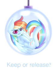 Size: 1800x2400 | Tagged: safe, artist:silviasilvar, rainbow dash, pegasus, pony, g4, bauble, bronybait, captured, christmas ornament, decoration, female, mare, question, solo, sphere, unamused