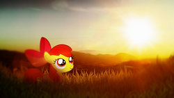 Size: 1920x1080 | Tagged: safe, artist:cloudbringerart, artist:lman225, apple bloom, g4, blurry, cute, field, grass field, hill, irl, lens flare, photo, ponies in real life, solo, sunrise, vector, wallpaper