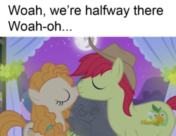 Size: 960x740 | Tagged: safe, edit, edited screencap, screencap, bright mac, pear butter, g4, the perfect pear, bon jovi, female, livin' on a prayer, lyrics, male, pun, ship:brightbutter, shipping, song reference, straight, text