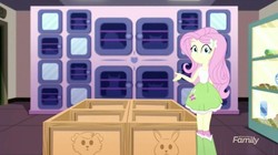 Size: 848x476 | Tagged: safe, screencap, fluttershy, equestria girls, g4, my little pony equestria girls: summertime shorts, pet project, animal shelter, female