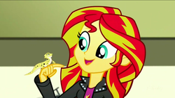 Size: 1136x640 | Tagged: safe, screencap, ray, sunset shimmer, leopard gecko, lizard, eqg summertime shorts, equestria girls, g4, pet project, animal, cute, shimmerbetes