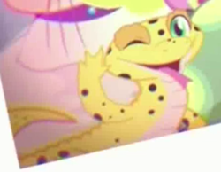 Size: 452x350 | Tagged: safe, screencap, ray, gecko, leopard gecko, lizard, eqg summertime shorts, equestria girls, g4, pet project, animal, cropped