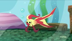Size: 1136x640 | Tagged: safe, screencap, betta, fish, tropical fish, equestria girls, g4, my little pony equestria girls: summertime shorts, pet project, ambiguous gender, discovery family logo, solo, sunset fish