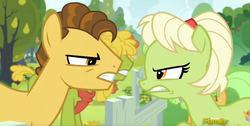 Size: 1276x644 | Tagged: safe, screencap, grand pear, granny smith, earth pony, pony, g4, the perfect pear, angry, discovery family logo, young grand pear, young granny smith, younger