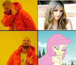 Size: 640x550 | Tagged: safe, fluttershy, human, equestria girls, g4, drake, exploitable meme, hotline bling, irl, irl human, meme, photo