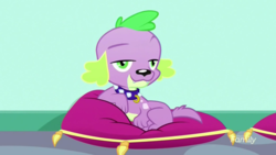 Size: 1920x1080 | Tagged: safe, screencap, spike, spike the regular dog, dog, eqg summertime shorts, equestria girls, g4, pet project, draw me like one of your french girls, looking at you, pillow, stupid sexy spike