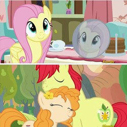 Size: 717x719 | Tagged: safe, edit, edited screencap, screencap, bright mac, fluttershy, pear butter, earth pony, pony, discordant harmony, g4, the perfect pear, discovery family logo, female, male, ship:brightbutter, shipping, straight
