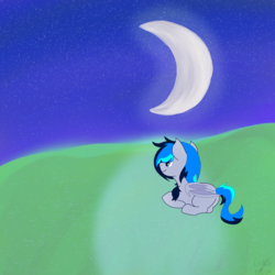 Size: 3000x3000 | Tagged: safe, artist:flamelight-dash, oc, oc only, oc:melody moon, pony, high res, night