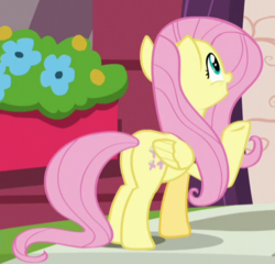 Size: 418x401 | Tagged: safe, screencap, fluttershy, pegasus, pony, discordant harmony, g4, butt, cropped, female, flutterbutt, folded wings, mare, plot, raised hoof, solo, wings