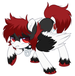Size: 2066x2110 | Tagged: safe, artist:hawthornss, oc, oc only, oc:umbra moon, pegasus, pony, werewolf, collar, cute, cute little fangs, ear fluff, fangs, frown, high res, simple background, transparent background