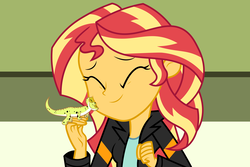 Size: 6000x4000 | Tagged: safe, artist:spottedlions, ray, sunset shimmer, gecko, leopard gecko, equestria girls, g4, my little pony equestria girls: summertime shorts, pet project, ^^, absurd resolution, clothes, cute, eyes closed, female, jacket, leather jacket, nuzzling, pet, shimmerbetes, smiling
