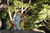 Size: 1920x1280 | Tagged: safe, artist:setorin5, applejack, rainbow dash, pony, g4, 4de, irl, japan, nature, photo, plushie, ponies around the world