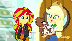 Size: 1280x720 | Tagged: safe, screencap, applejack, sunset shimmer, winona, equestria girls, g4, my little pony equestria girls: summertime shorts, pet project, clothes, cowboy hat, happy, hat, jacket, sad, smiling