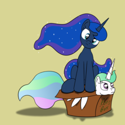 Size: 1280x1280 | Tagged: safe, artist:eightbithoof, princess celestia, princess luna, alicorn, pony, g4, behaving like a cat, box, duo, head tilt, looking at you, majestic as fuck, pony in a box, sillestia, silluna, silly, silly pony, simple background