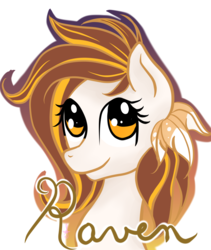 Size: 6352x7538 | Tagged: safe, artist:silversthreads, oc, oc only, oc:raven, earth pony, pony, absurd resolution, feathers in hair, female, handwriting, mare, simple background, solo, transparent background