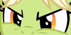 Size: 433x213 | Tagged: safe, screencap, granny smith, earth pony, pony, g4, the perfect pear, angry, cropped, eye, eyes, female, solo, young granny smith