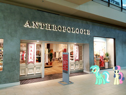 Size: 2600x1950 | Tagged: safe, artist:conman17, bon bon, lyra heartstrings, sweetie drops, earth pony, pony, unicorn, fanfic:anthropology, g4, clean, confused, excited, funny, irl, looking at you, mall, misspelling, photo, photoshop, ponies in real life, store, that pony sure does love humans