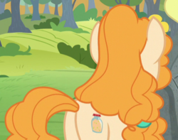 Size: 494x389 | Tagged: safe, screencap, pear butter, earth pony, pony, g4, the perfect pear, butt, cropped, female, mare, plot, solo