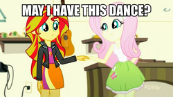 Size: 892x500 | Tagged: safe, screencap, fluttershy, sunset shimmer, equestria girls, g4, my little pony equestria girls: summertime shorts, pet project, female, holding hands, image macro, implied lesbian, implied sunshyne, meme