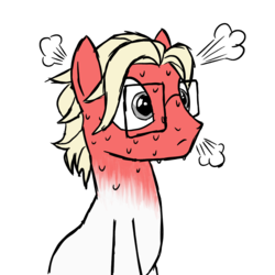 Size: 1000x1000 | Tagged: safe, artist:pablote, oc, oc only, oc:parchment bleach, earth pony, pony, blushing, blushing profusely, glasses, male, solo, stallion, steam, sweat