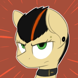 Size: 1500x1500 | Tagged: safe, artist:horseface, oc, oc only, oc:aero cavalleria, pony, angry, collar, female, icon, looking at you, mare, piercing, solo