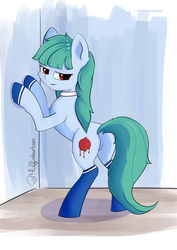Size: 4961x7016 | Tagged: safe, artist:muffinkarton, oc, oc only, oc:persephone, earth pony, pony, ponyvania: order of equestria, absurd resolution, against wall, bipedal, bipedal leaning, butt, castlevania, chest fluff, clothes, cutie mark, featureless crotch, female, leaning, looking back, maid, mare, persephone, plot, ponified, shoes, socks, solo, stockings, thigh highs