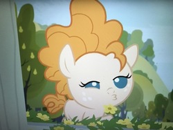 Size: 1252x939 | Tagged: safe, pear butter, earth pony, pony, g4, the perfect pear, cute, duckface, female, pearabetes, solo, younger