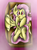 Size: 1798x2448 | Tagged: safe, artist:visrack, fluttershy, bat pony, pony, g4, box, cute, female, flutterbat, pony in a box, race swap, shyabates, shyabetes, solo, tongue out