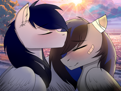 Size: 1024x768 | Tagged: safe, artist:cottonaime, oc, oc only, pegasus, pony, bandage, blushing, colt, eyes closed, female, fluffy, forehead kiss, love, male, mare, patch, shipping, smiling, sunset