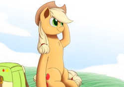 Size: 2400x1680 | Tagged: safe, artist:j24262756, applejack, earth pony, pony, g4, cloud, cowboy hat, female, grass, hat, mare, smiling, solo, stetson