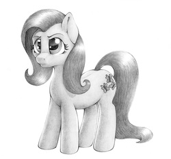 Size: 2400x2228 | Tagged: safe, artist:stallionslaughter, fluttershy, earth pony, pony, g4, angry, female, grayscale, high res, mare, monochrome, pencil drawing, simple background, solo, traditional art, white background, wingless