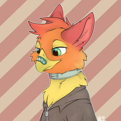 Size: 1000x1000 | Tagged: safe, artist:lonerdemiurge_nail, oc, oc only, oc:amber wing, griffon, bandaid, bandaid on nose, chest fluff, clothes, collar, solo