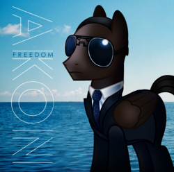 Size: 1600x1586 | Tagged: safe, artist:aldobronyjdc, pony, akon, ponified, ponified album cover