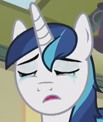 Size: 422x498 | Tagged: safe, screencap, shining armor, pony, unicorn, a flurry of emotions, g4, cropped, crying, cute, liquid pride, shining adorable