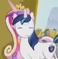 Size: 202x203 | Tagged: safe, screencap, princess cadance, shining armor, alicorn, pony, unicorn, a flurry of emotions, g4, cropped, wat