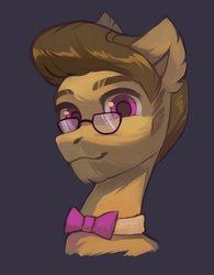 Size: 1495x1913 | Tagged: safe, artist:share dast, oc, oc only, pony, bowtie, bust, ear fluff, glasses, male, portrait, simple background, solo, stallion
