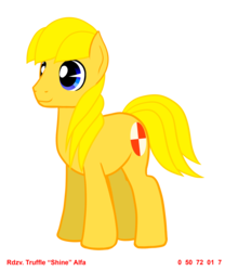 Size: 2000x2400 | Tagged: safe, artist:truffle shine, oc, oc only, oc:truffle shine, earth pony, pony, robot, artificial intelligence, genderless, high res, male, simple background, solo, stallion, transparent background