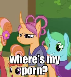 Size: 457x495 | Tagged: safe, edit, edited screencap, screencap, cinnamon tea, floating lotus, riverbend willow, sable spirit, pony, unicorn, campfire tales, g4, background pony, cropped, curved horn, discovery family logo, female, horn, image macro, implied porn, jealous, meme, porn when, young, young sable spirit, younger
