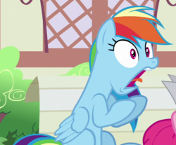 Size: 685x567 | Tagged: safe, screencap, rainbow dash, daring done?, g4, cropped, rainbow dash is best facemaker