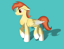 Size: 3300x2550 | Tagged: safe, artist:lunar froxy, oc, oc only, oc:render point, pegasus, pony, high res, male, shadow, simple background, solo, stallion