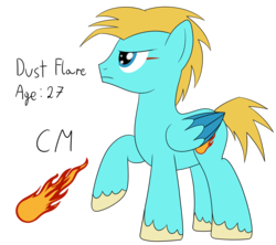 Size: 1970x1753 | Tagged: safe, artist:cloudy95, oc, oc only, oc:dust flare, pegasus, pony, colored wings, male, multicolored wings, reference sheet, simple background, solo, stallion, transparent background