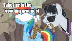 Size: 640x360 | Tagged: safe, edit, edited screencap, screencap, rainbow dash, withers, earth pony, pegasus, pony, daring done?, g4, animated, blindfold, bondage, bound wings, broodmare, caption, female, gif, henchmen, image macro, imminent rape, imminent sex, implied breeding, implied sex, male, mare, meme, rainbond dash, rope, stallion, this will end in pregnancy, tied up